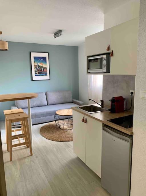 Studio Le Pensier - Monplaisir Lyon Exteriör bild